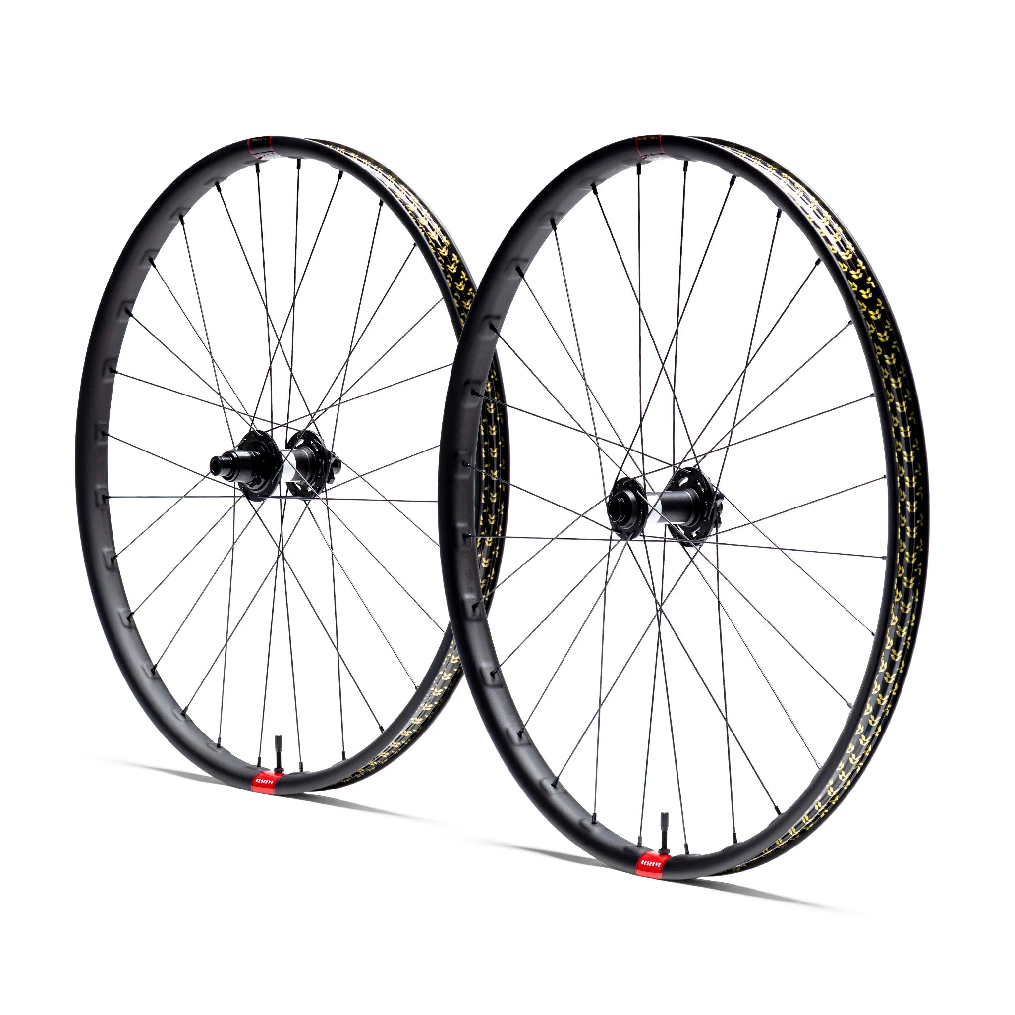 RESERVE 30SL  XC   CARBON/  DT SWISS 350 DEG DF110  WHEELSET