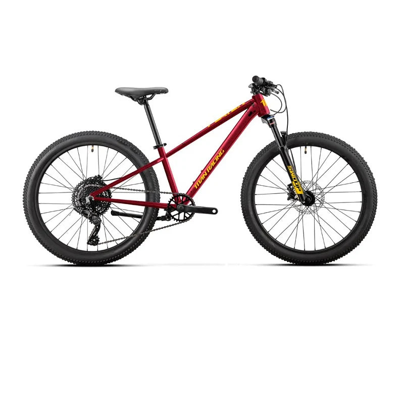 TITAN PLAYER 24" KIDS BIKE