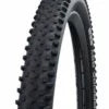 SCHWALBE RACING RAY - ADDIX  PERF, TWINSKIN, TLR 29X2.35